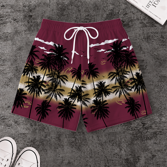 [HOT DEAL] NEW CUSTOMIZED NBA02 CCA CLEVELAND CAVALIERS SHORT PANTS