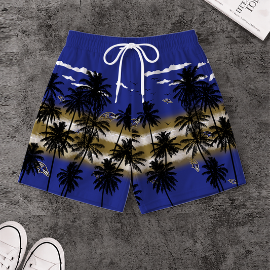 [SPECIAL OFFER] NEW CUSTOMIZED NFL28 BTR BALTIMORE RAVENS SHORT PANTS