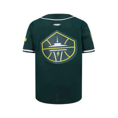 LIMITED EDITION - NEW CUSTOMIZED WNBA12 STS SE STORM BASEBALL JERSEY 01